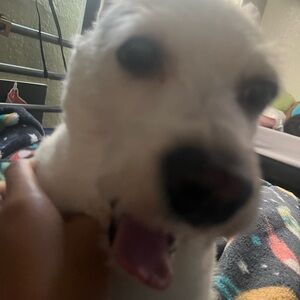 Meet your Posher, Gabby